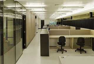 上海五常大米有機(jī)稻花香米香氣足