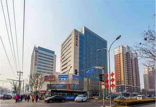 出售胡蘿卜果實