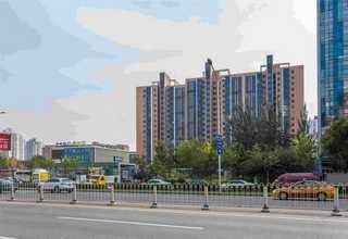 江蘇豆娘蟲珀種類