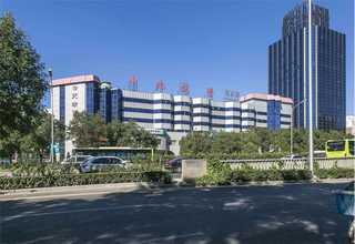 常州好養(yǎng)的綠植價(jià)格