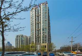 北京飼料花生秧出售