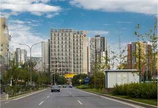 吉林秸稈花生秧草粉