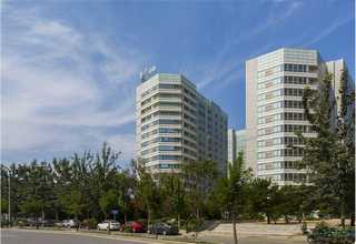 西安動(dòng)態(tài)恐龍圖片