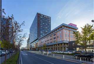 浦口區(qū)品質(zhì)軟筆入門