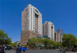 武漢東西湖區(qū)綠化養(yǎng)護防澇